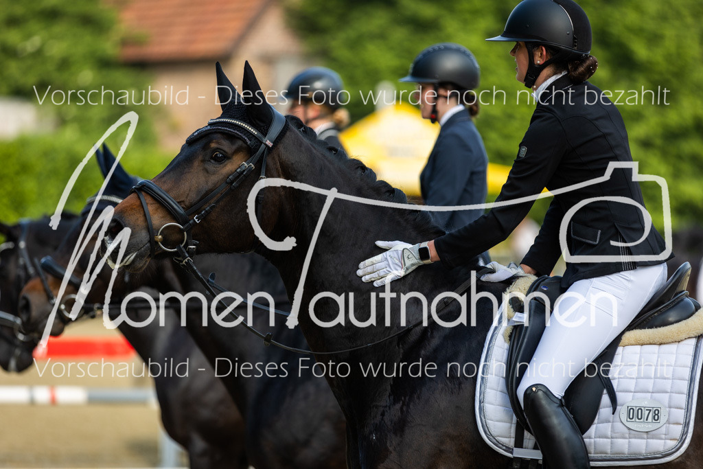 Donop24-A-Dre-080 | MomenTaufnahmen Pferdesportfotos