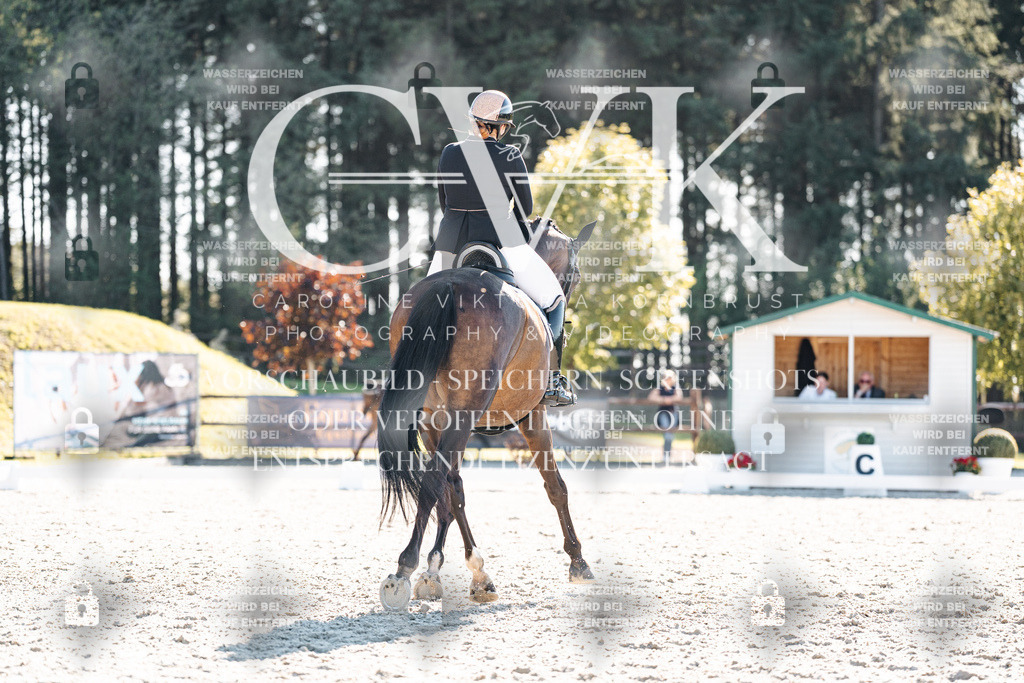 CK906110 | Turnierfotografie Pferdefotografie Trier Rheinland-Pfalz Pferdesport Reitsport Tierfotografie Sportfotografie Pferdevideo Pferdevideografie Equestrianvideography equestrianphotography  - Realisiert mit Pictrs.com
