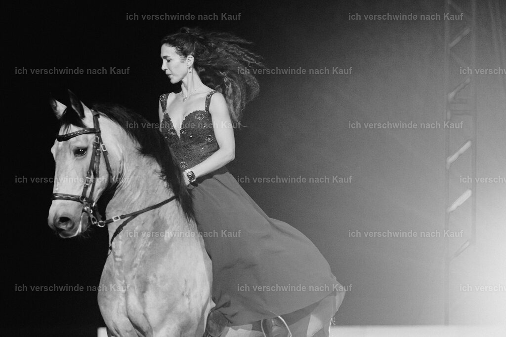 Gala-82 | working equitationturnier fotograf videograf stoibphotography marixx film working equitation deutschland reitsport turnierfotografie eventfotografie equestrian events