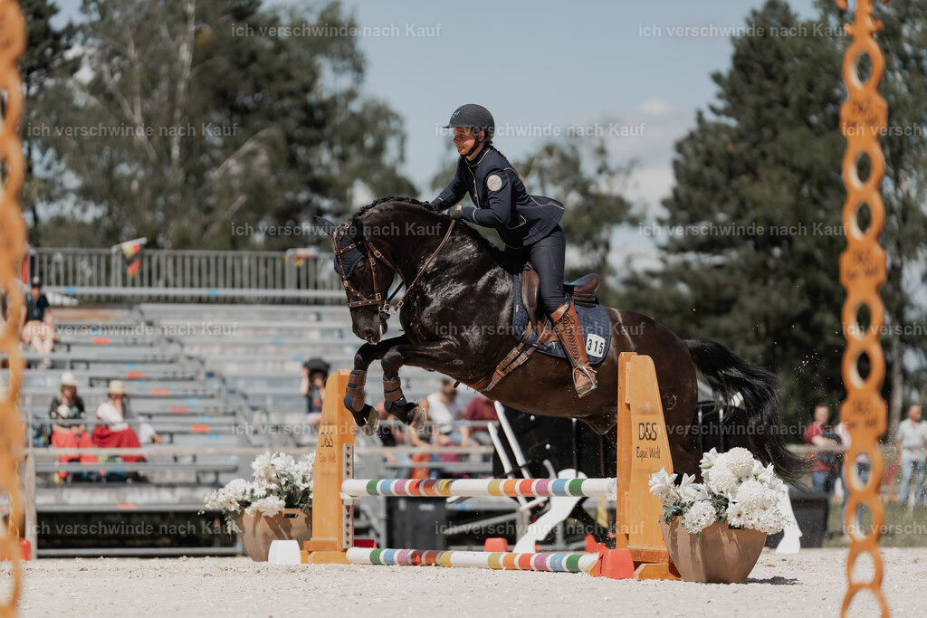 WE_ST_Stoib_315_PI2025_1317 | Pferd International München 2025