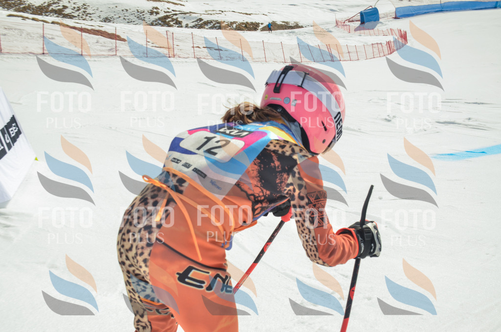 _ELE4595 | holidayphoto