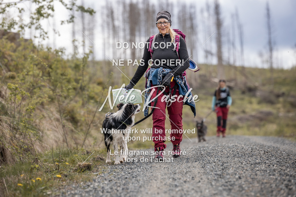 6Z1A1424 | nelerasche