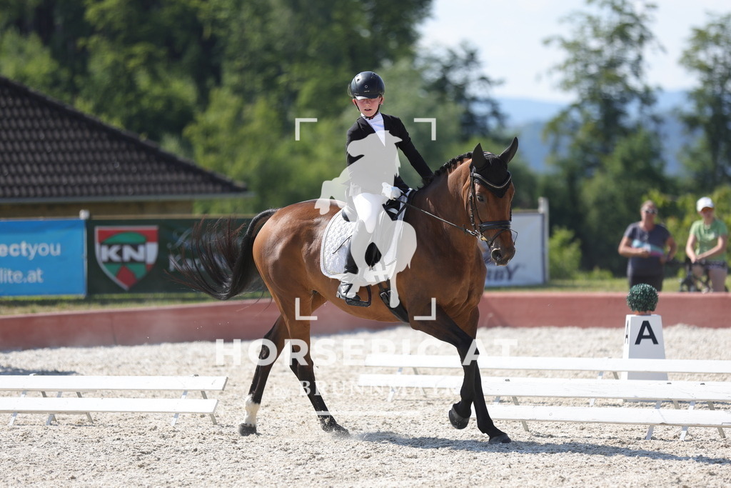 0P6A7710 | Willkommen bei Brunnmayr - Design & Fotografie – Ihrem Spezialisten für Reitturniere und Pferdeveranstaltungen in Oberösterreich, Salzburg und Bayern! Seit über 17 Jahren sind wir leidenschaftlich dabei.