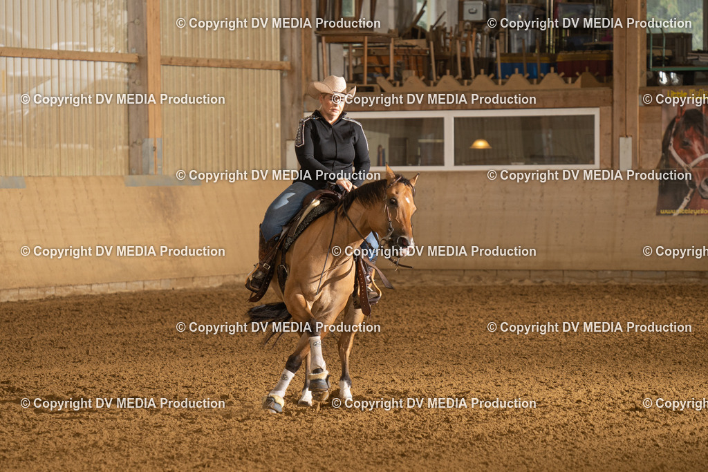 LAU00447 | dv-media-shop - Realisiert mit Pictrs.com