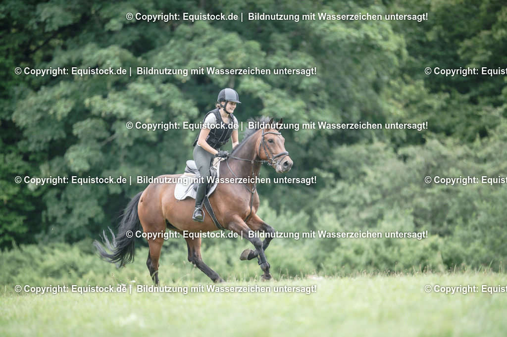 20250726_Vielseitigkeitslehrgang-Marbach_0802 | Foto: Thomas Hartig