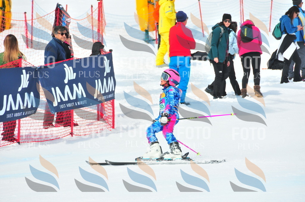 DSC_2183 | holidayphoto