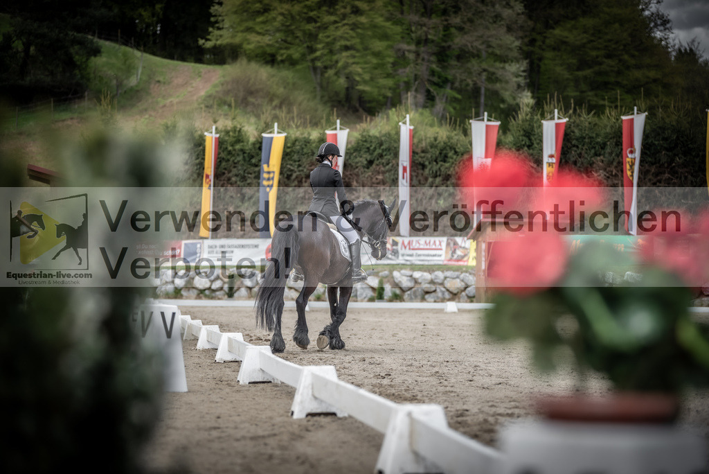 DSC_3175 | equestrian-live-com