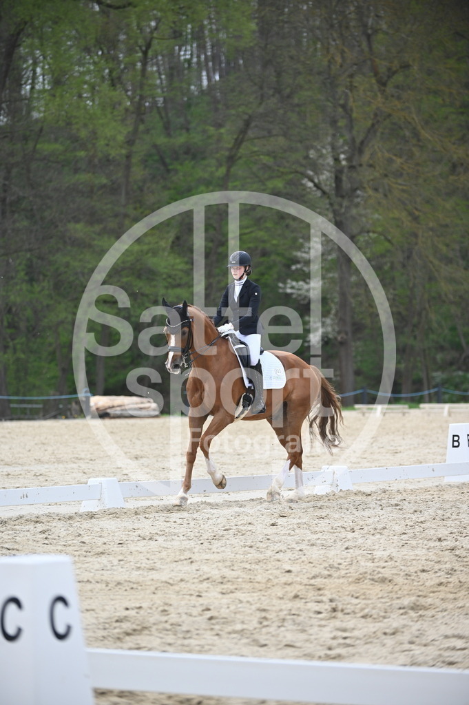 DSC_5152 | sattelsport - Realisiert mit Pictrs.com