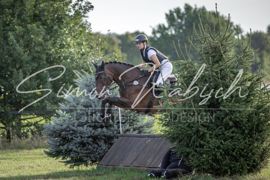 20250907-_3LI8490 | Tierfotografie Pferde, Hunde, Katzen, Haustiere.
Turnierfotografie Reitturniere, Reiten, Springreiten, Dressur in Hanau, dem Main-Kinzig-Kreis und dem Rhein-Main- Gebiet um Frankfurt