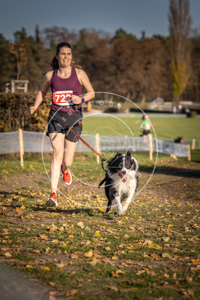 CaniXpix_DV3A1903 | Hundefotografie, Tierfotograf, Pfotenfotografie, Fotoshooting Hund, Hunde Portrait, Hundesport, Hundeportraits, Heideshooting, Hunde, Sportfotograf, Hundefotograf, Turnierhundsport, THS,  - Realisiert mit Pictrs.com