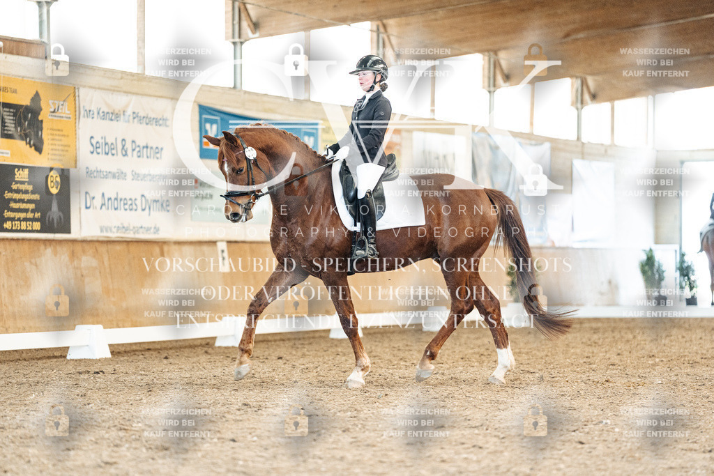 CK908382 | Turnierfotografie Pferdefotografie Trier Rheinland-Pfalz Pferdesport Reitsport Tierfotografie Sportfotografie Pferdevideo Pferdevideografie Equestrianvideography equestrianphotography  - Realized with Pictrs.com