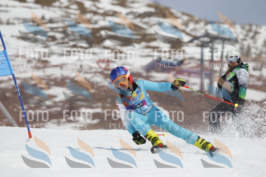 _U3G2259 | holidayphoto