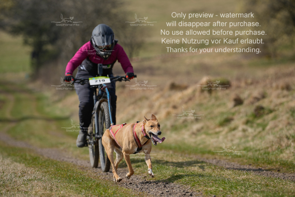 Bike_Lang-291 | stephaniefillaphotographie - Realisiert mit Pictrs.com