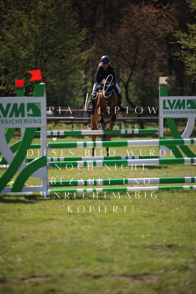 IMGT5641 | pl-fotografie