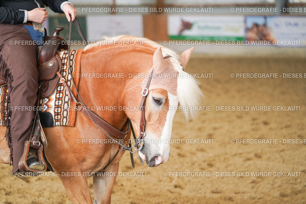 DSC01790 | Pferdegrafie