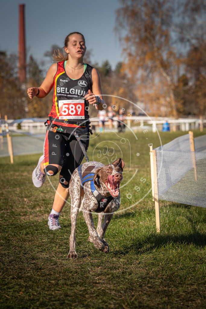 CaniXpix_0L8A8339 | Hundefotografie, Tierfotograf, Pfotenfotografie, Fotoshooting Hund, Hunde Portrait, Hundesport, Hundeportraits, Heideshooting, Hunde, Sportfotograf, Hundefotograf, Turnierhundsport, THS,  - Realisiert mit Pictrs.com