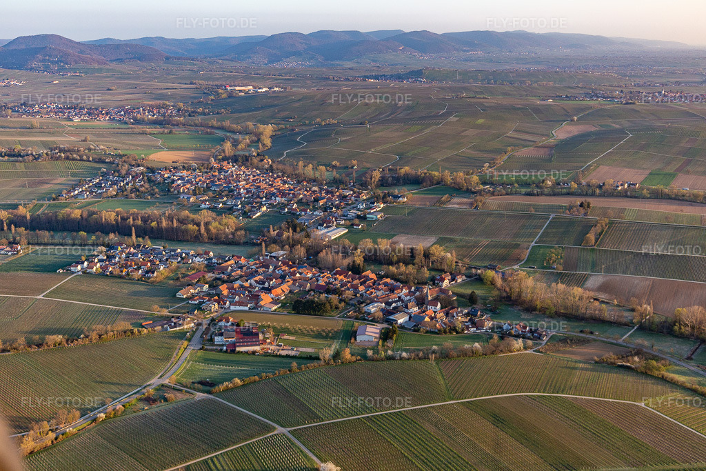 Luftbild: Feldern und Weinbergen vor der Kulisse des Haardtrandes des Pfälzerwalds im Ortsteil Heuchelheim im Ortsteil Klingen in Heuchelheim-Klingen im Bundesland Rheinland-Pfalz in Deutschland. Foto: IMG_126211.jpg vom 04.04.2021 durch Werner Riehm/FLY-FOTO.de