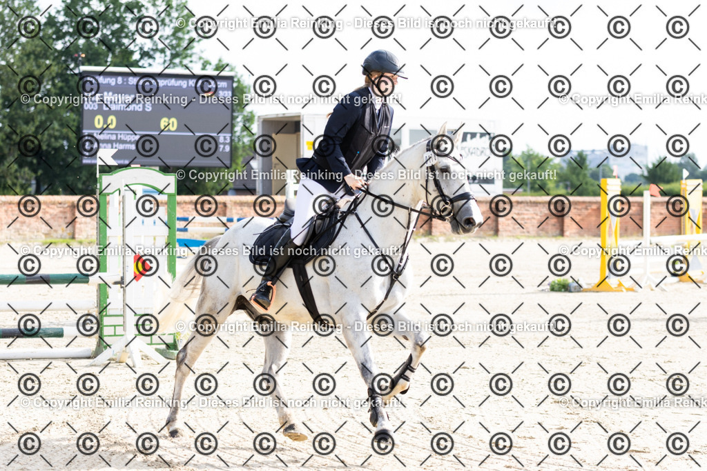 CL5A6066 | Emilia Reinking Fotografie - Realisiert mit Pictrs.com