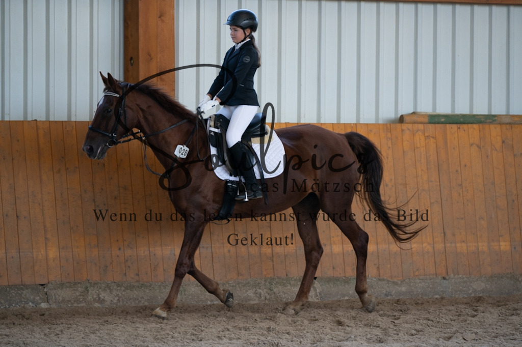 A7V02060 | Turnier/Reitfotograf