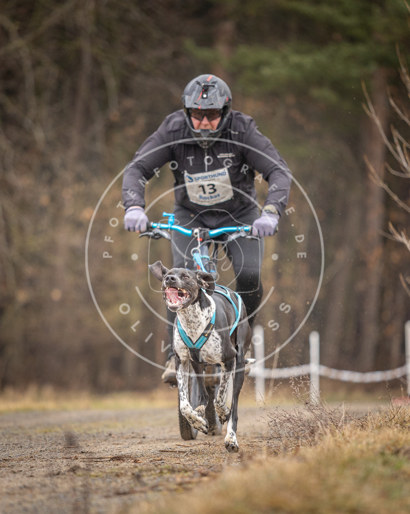 DV3A3227 | Hundefotografie, Tierfotograf, Pfotenfotografie, Fotoshooting Hund, Hunde Portrait, Hundesport, Hundeportraits, Heideshooting, Hunde, Sportfotograf, Hundefotograf, Turnierhundsport, THS,  - Realisiert mit Pictrs.com