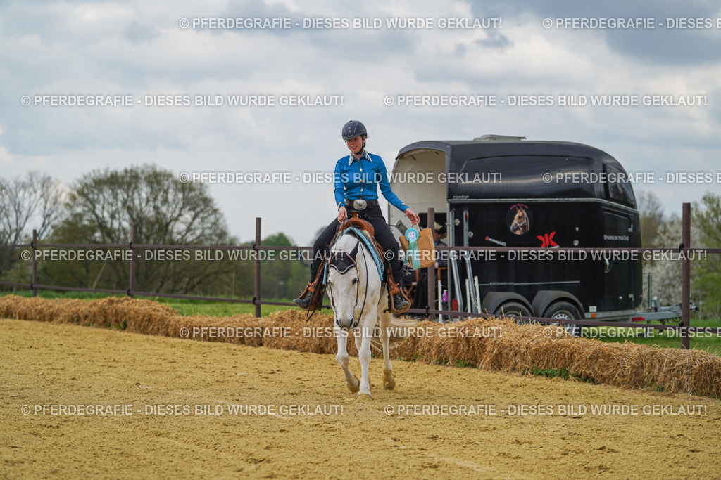 DSC06796 | Pferdegrafie