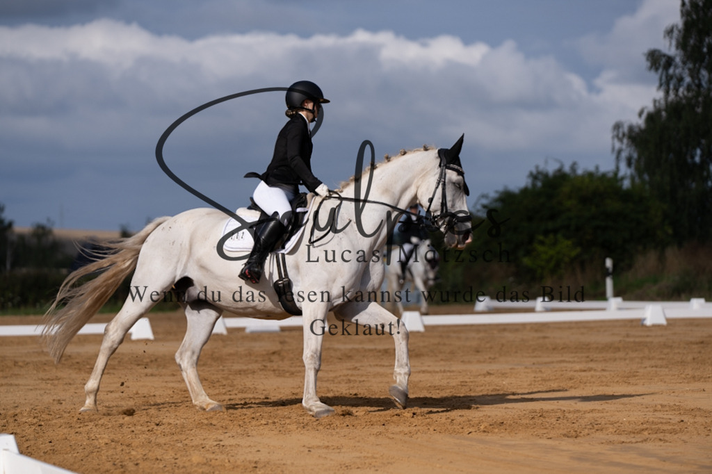 A7V05148 | Pferdefotograf