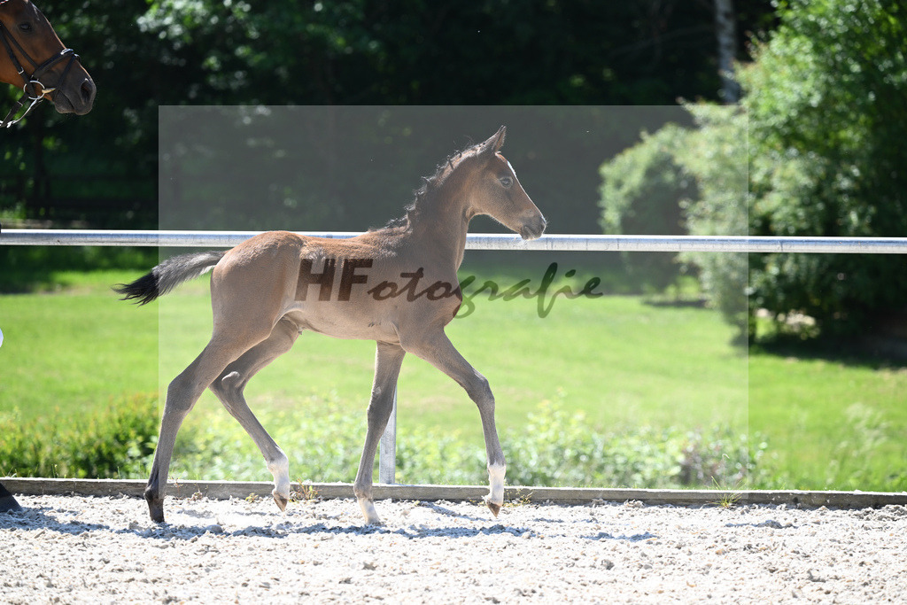 Kat-Nr. 26 HF Vingino_Ruhland_16230344 | hf-fotografie - Realisiert mit Pictrs.com