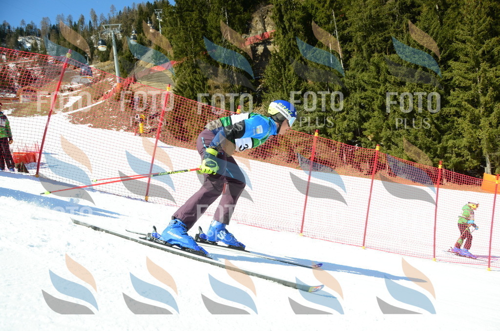 C7006 | holidayphoto