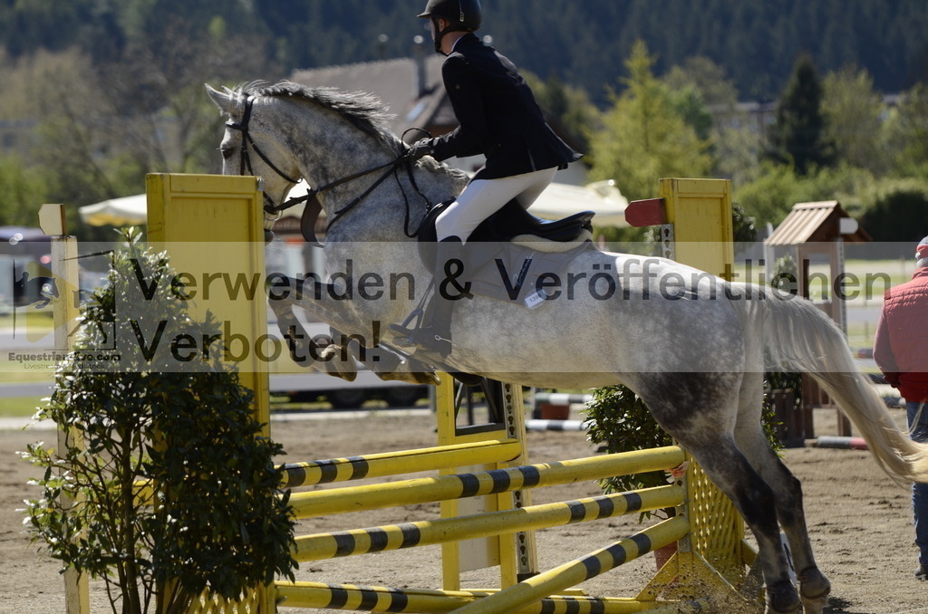 _DSC8514 | equestrian-live-com