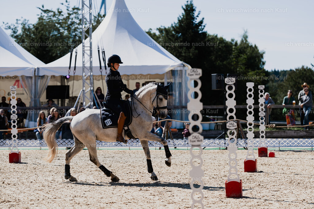 Svea13FHC2025-08739 | working equitationturnier fotograf videograf stoibphotography marixx film working equitation deutschland reitsport turnierfotografie eventfotografie equestrian events