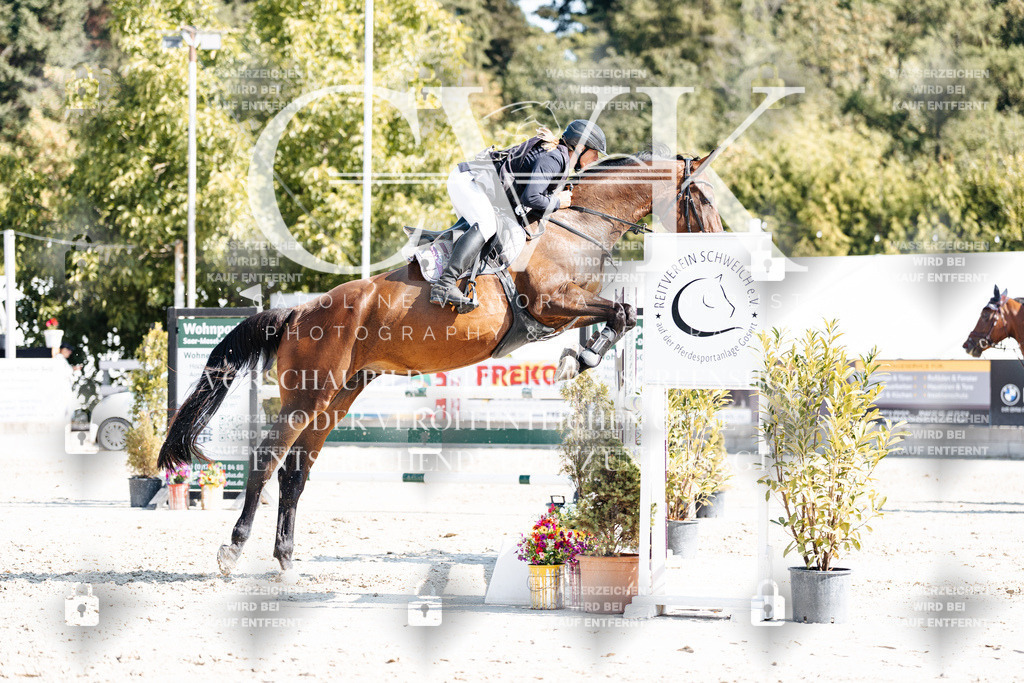 CK902663 | Turnierfotografie Pferdefotografie Trier Rheinland-Pfalz Pferdesport Reitsport Tierfotografie Sportfotografie Pferdevideo Pferdevideografie Equestrianvideography equestrianphotography  - Realisiert mit Pictrs.com