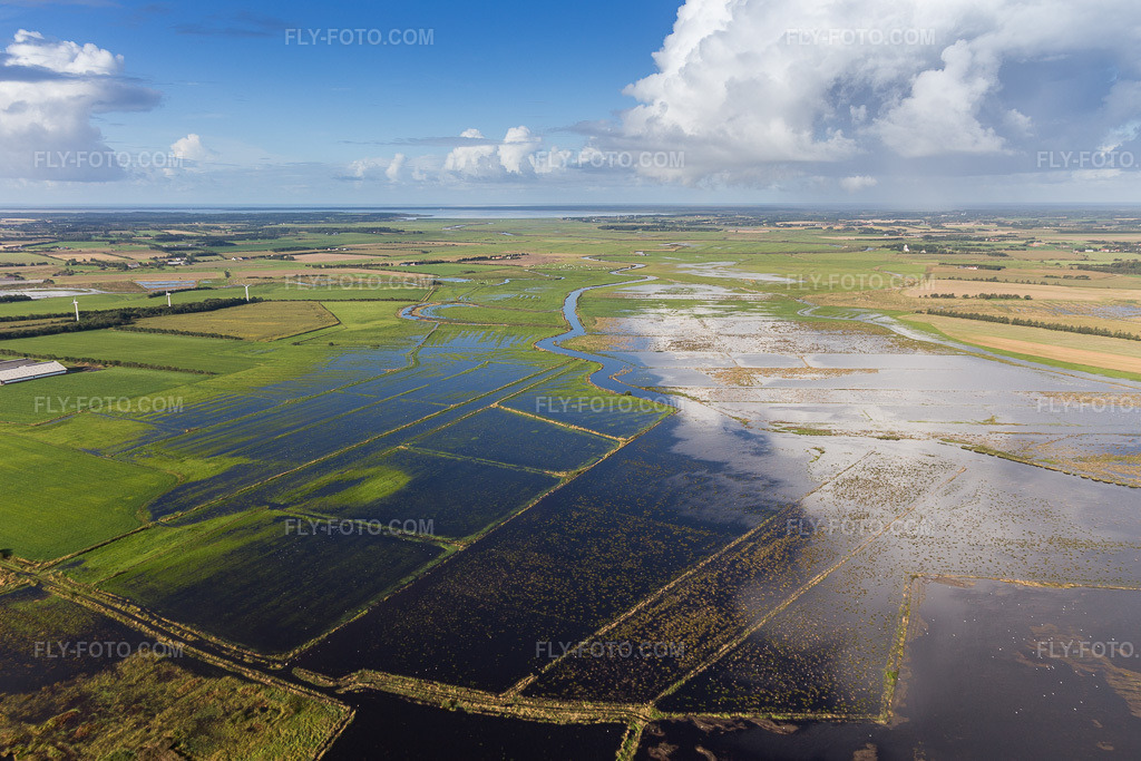 Aerial view: Riverbank areas with riverbed flooded by high water levels of Varde in Varde in the state South Denmark, Denmark. – Photo: IMG_103450.jpg taken on 09/16/2017 by Werner Riehm/FLY-FOTO.com – Resolution of the original: 5255 x 3504 px