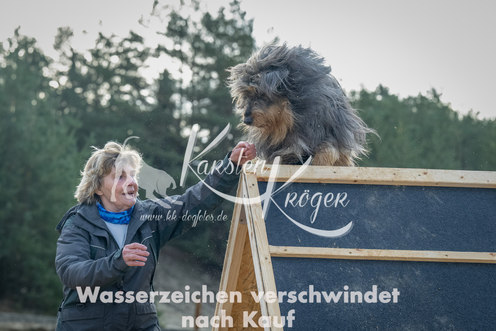 0908_ZZ91861-Bearbeitet | kk-dogfotos