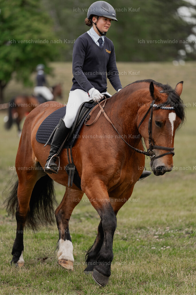 Showprogramm-79 | working equitationturnier fotograf videograf stoibphotography marixx film working equitation deutschland reitsport turnierfotografie eventfotografie equestrian events