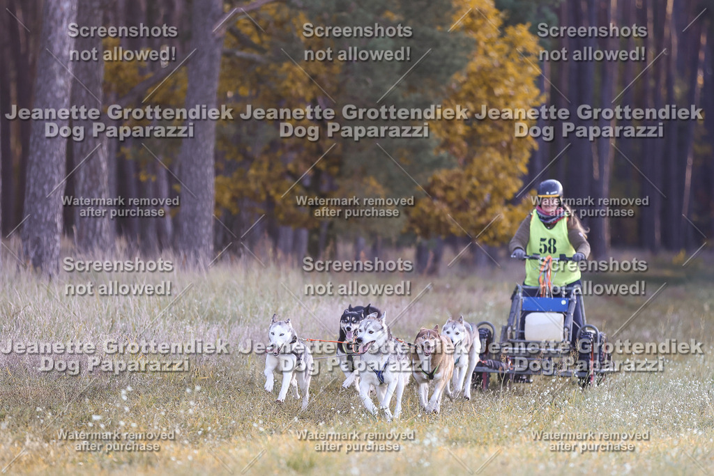 Dog Paparazzi - Elsholz 25 -21 | Dog Paparazzi Jeanette Grottendiek Fotografie & Videografie - Realisiert mit Pictrs.com