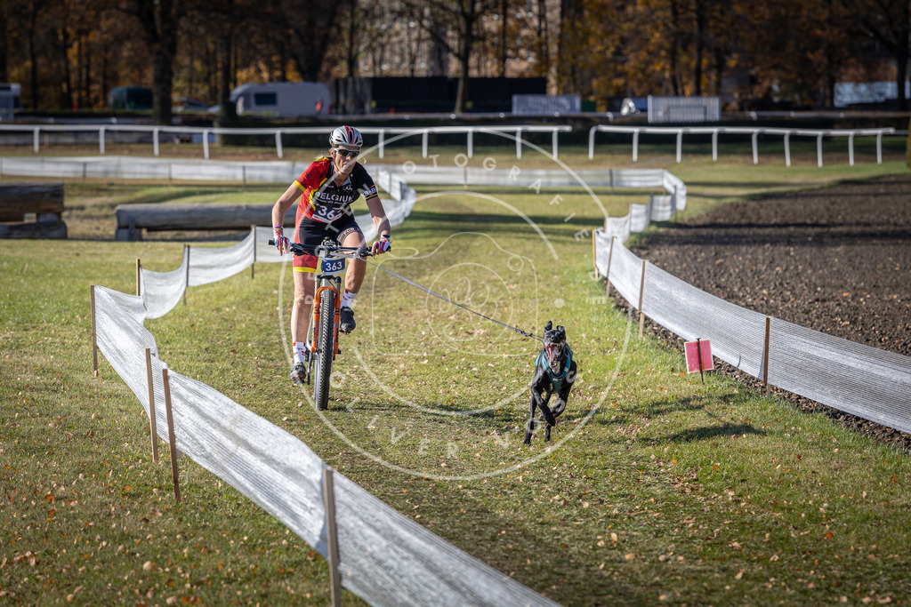CaniXpix_DV3A7456 | Hundefotografie, Tierfotograf, Pfotenfotografie, Fotoshooting Hund, Hunde Portrait, Hundesport, Hundeportraits, Heideshooting, Hunde, Sportfotograf, Hundefotograf, Turnierhundsport, THS,  - Realisiert mit Pictrs.com