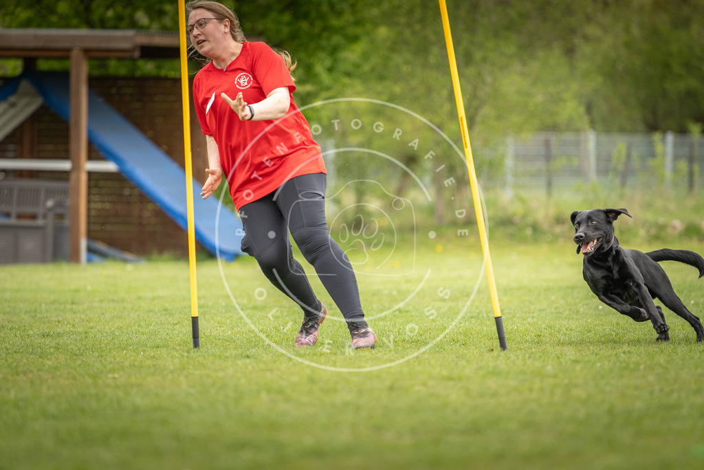 Pfotenfotografie_DV3A9972 | Hundefotografie, Tierfotograf, Pfotenfotografie, Fotoshooting Hund, Hunde Portrait, Hundesport, Hundeportraits, Heideshooting, Hunde, Sportfotograf, Hundefotograf, Turnierhundsport, THS,  - Realisiert mit Pictrs.com