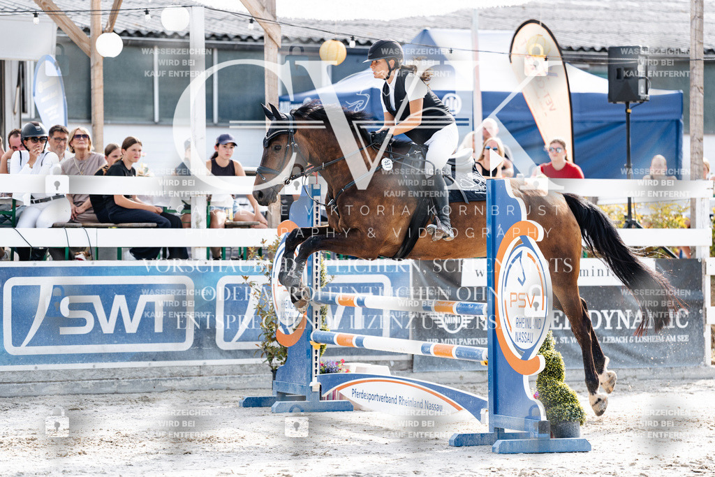 CK905860 | Turnierfotografie Pferdefotografie Trier Rheinland-Pfalz Pferdesport Reitsport Tierfotografie Sportfotografie Pferdevideo Pferdevideografie Equestrianvideography equestrianphotography  - Realisiert mit Pictrs.com