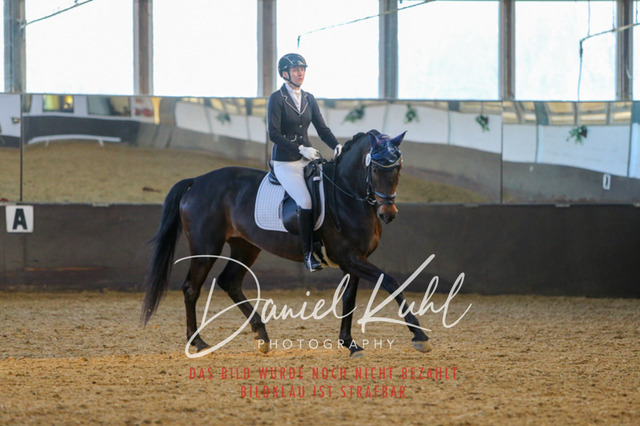 IMG_3358 | Turniersportfotografie; Pferdefotografie; Dressurfotografie