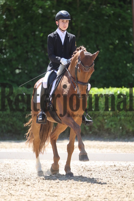 Böblingen_2025_Prfg.Nr.08_Dressurprüfung_Kl.M_Nürnberger Burgpokal_Lukas Bernhard_Dibelius (5) | Alle Fotos der Reiterjournal Fotografin Doris Matthaes im Reiterjournal Online-Fotoshop. - Realisiert mit Pictrs.com