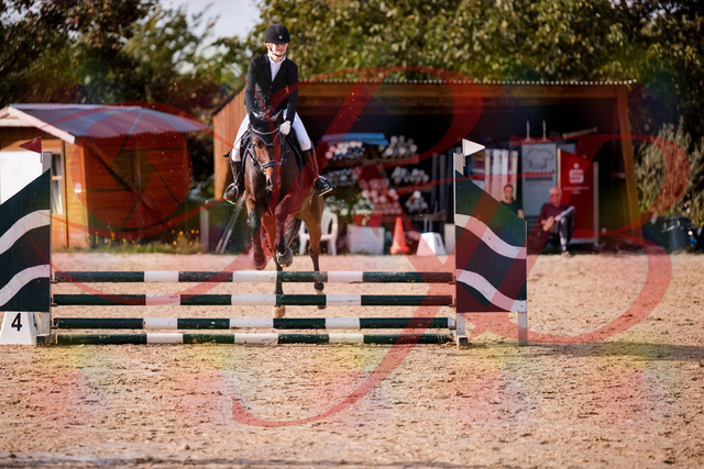 2026_10_03_Siefer-Hof_154136_Z81_58329898 | Professionelle Reitsport-, Turnier- und Eventfotografie von Robert Broda. Galerien mit ausgewählten und bearbeiteten Bildern direkt online ansehen und bestellen.