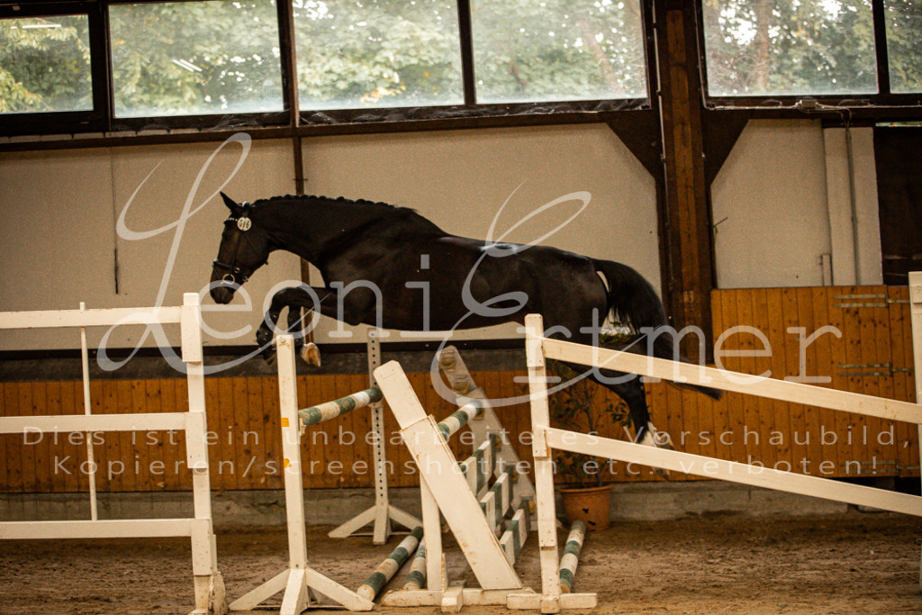 2FS_L00051 | Leoni Ertmer Photography - Realisiert mit Pictrs.com