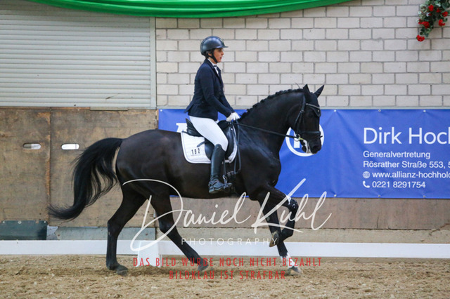 IMG_2661 | Turnierfotos kaufen im Webshop von Daniel Kuhl Photography – entdecke professionelle Reitsportfotos aus Turnieren & Events. Hochwertige Turnierbilder online bestellen & sichern. Jetzt Fotos von Reitsportturnieren kaufen!