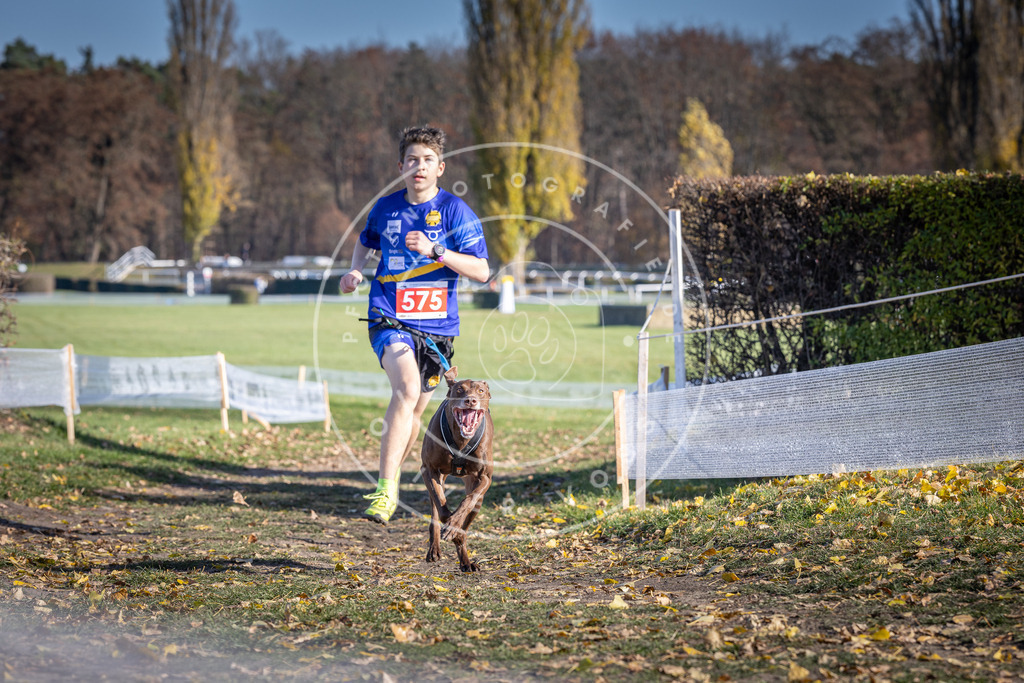 CaniXpix_DV3A8947 | Hundefotografie, Tierfotograf, Pfotenfotografie, Fotoshooting Hund, Hunde Portrait, Hundesport, Hundeportraits, Heideshooting, Hunde, Sportfotograf, Hundefotograf, Turnierhundsport, THS,  - Realisiert mit Pictrs.com