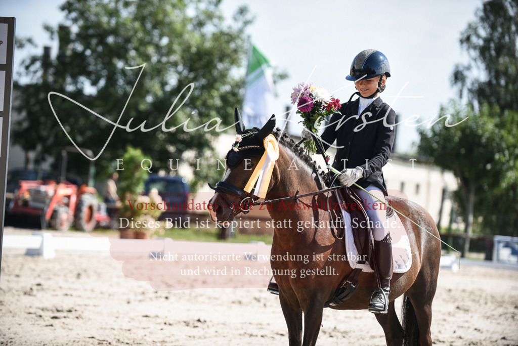 DSC_8757 | Pferde- und Turnierfotografie in Westsachsen. Pferdeportraits, Auftragszeichnungen und intuitive Kunst.
