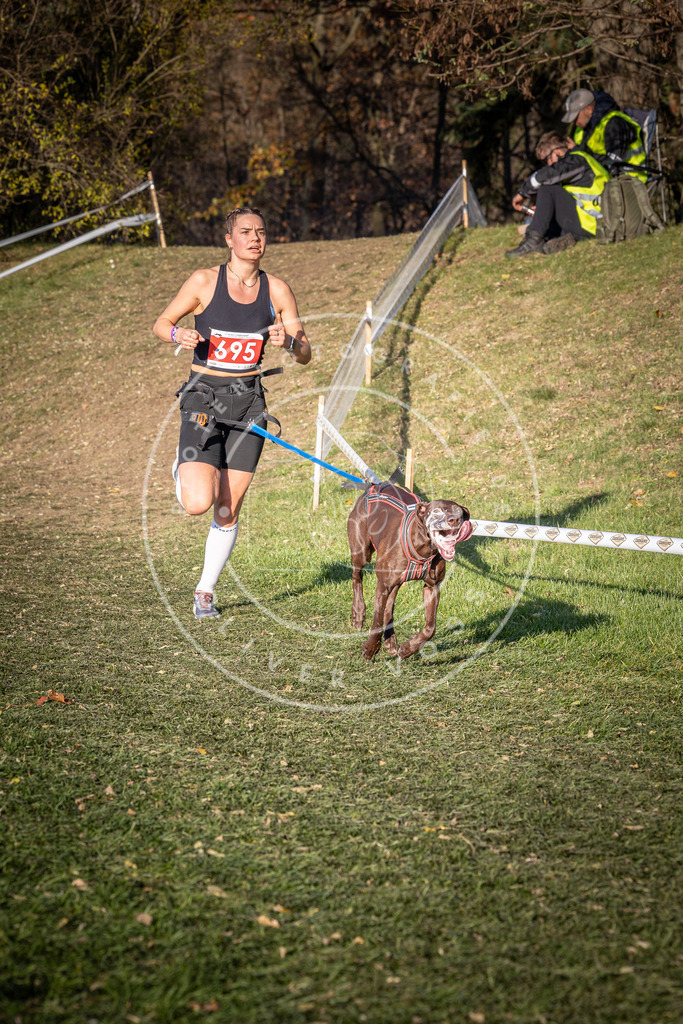CaniXpix_0L8A9406 | Hundefotografie, Tierfotograf, Pfotenfotografie, Fotoshooting Hund, Hunde Portrait, Hundesport, Hundeportraits, Heideshooting, Hunde, Sportfotograf, Hundefotograf, Turnierhundsport, THS,  - Realisiert mit Pictrs.com