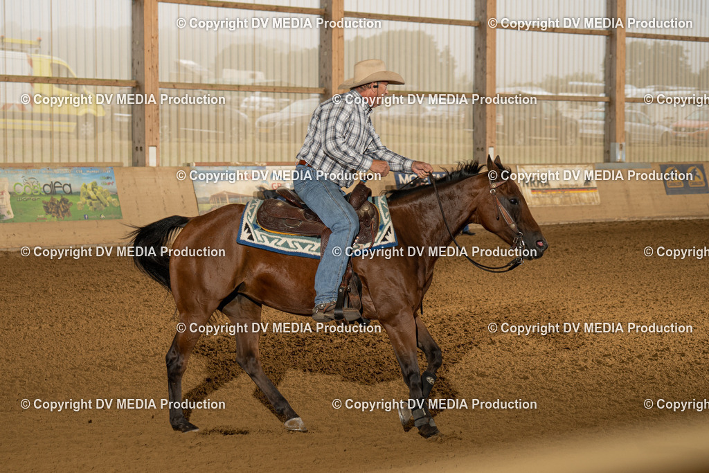 LAU00741 | dv-media-shop - Realisiert mit Pictrs.com