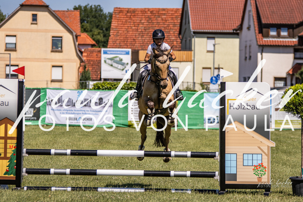 IMG_0657 | Erleben Sie dynamische Sport- und emotionale Tierfotografie in Süddeutschland mit Fotos von Paula. Spezialisiert auf Pferde- und Hundefotografie sowie Sportevents. Kontaktieren Sie mich für einzigartige und ausdrucksstarke Bilder Ihrer besonderen Momente. - Realisiert mit Pictrs.com