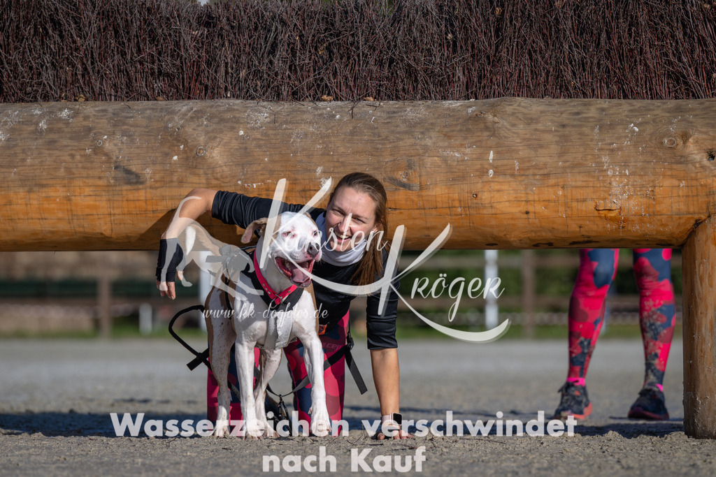 1050-_ZZ92927 | kk-dogfotos