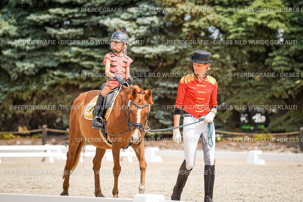 DSC02949 | Pferdegrafie